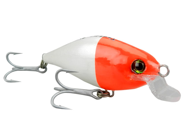 Isca Dojô Trakina Shad
