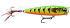 Imagem Cor GDFT - Glided Fire Tiger