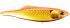 Imagem CBA0641 - Sway Blood Orange