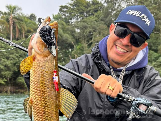Anteninha Camalesma Pro Ratilin - 6UN
