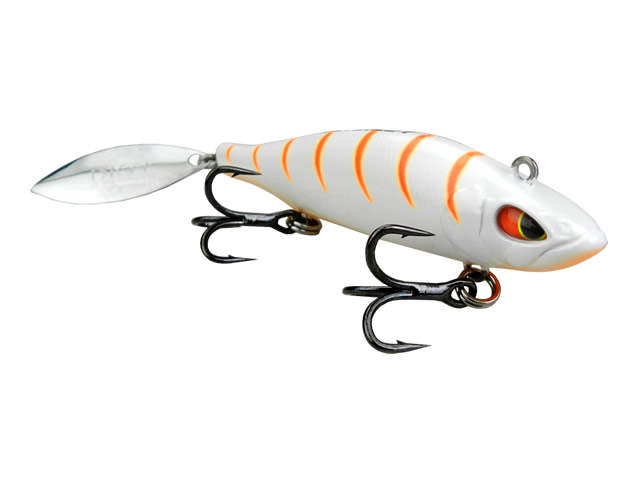 Isca Lori Face 65