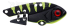 Imagem BKCT79 - Black Chatreuse Tiger