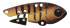 Imagem BRT83 - Brown Tiger