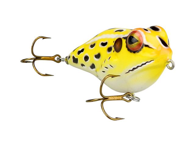 Isca Rebel Zara Frog R T30