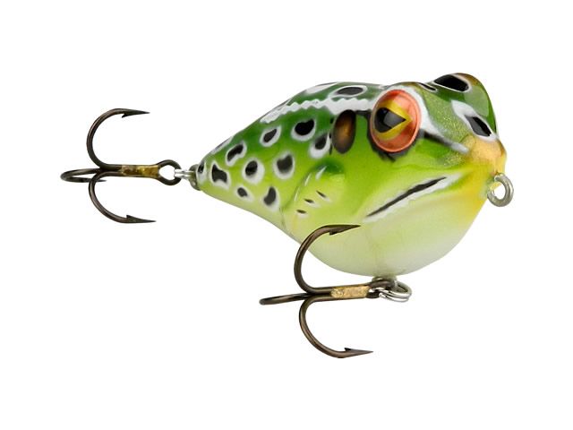 Isca Rebel Zara Frog R T30