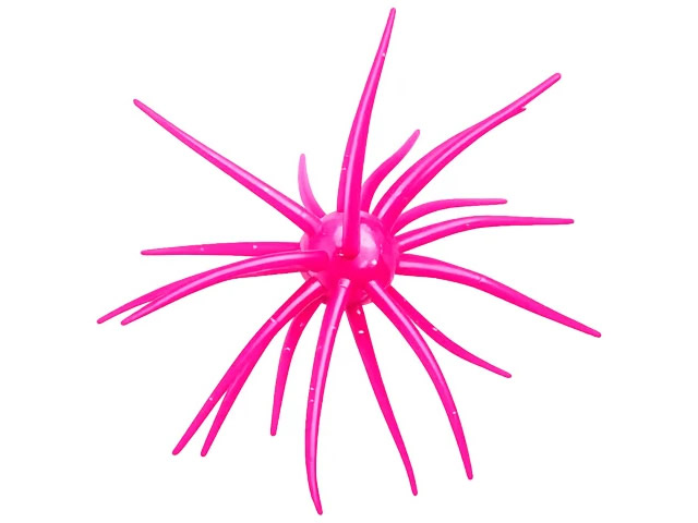 Isca Camalesma Hydra
