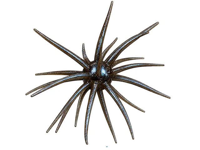 Isca Camalesma Hydra