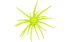 Imagem Chatreuse