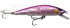Imagem 01 - Rosa Holog