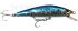 Imagem 04 - Sardinha