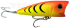 Imagem 61 - Hot Tiger