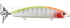 Imagem BCC3595 - PARROT