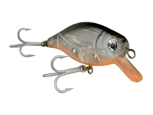 Isca KV Lips Jr