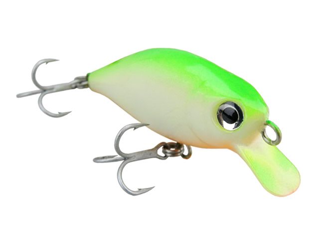Isca KV Lips Jr