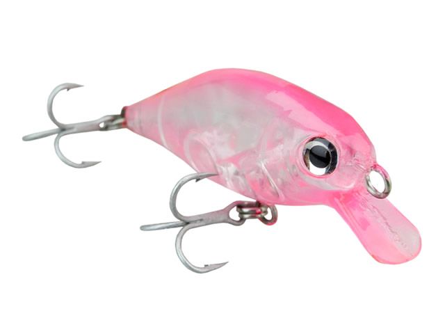Isca KV Lips Jr