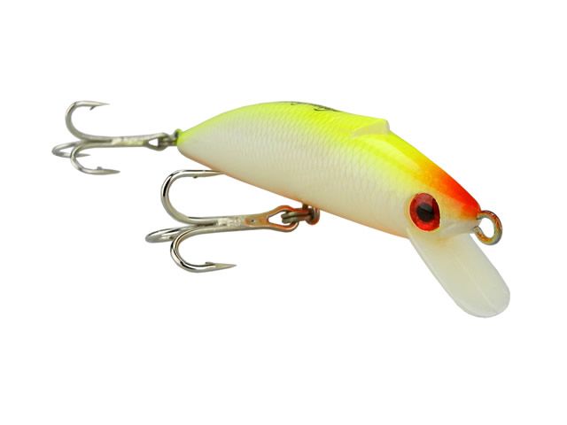 Isca Nelson Nakamura Borá Plus 10