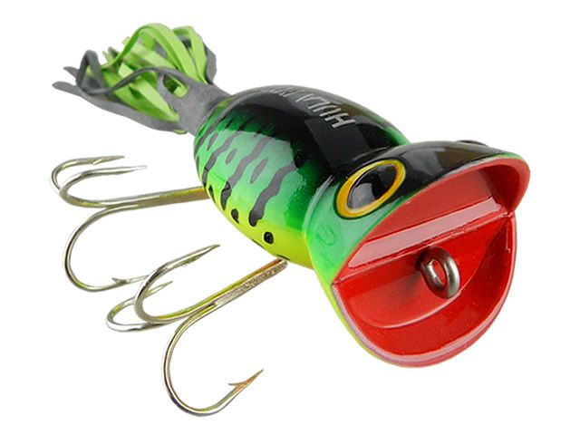 Isca Arbogast Hula - G730