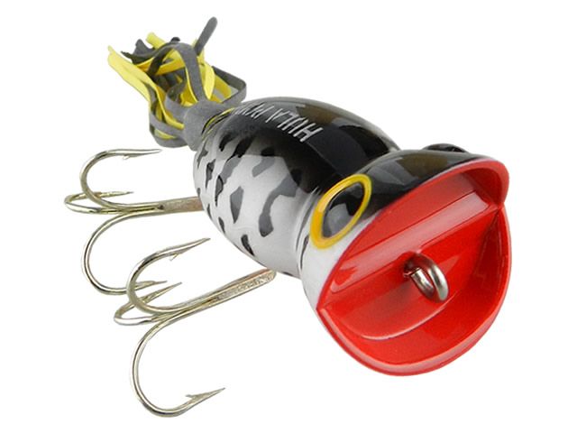 Isca Arbogast Hula - G730