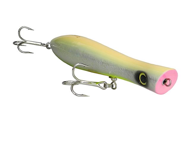 Isca Creek Chub Pin Popper 229