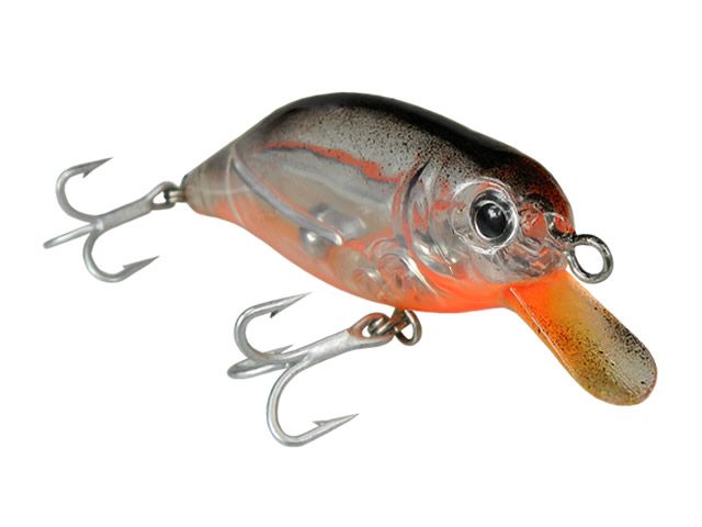 Isca KV Lips