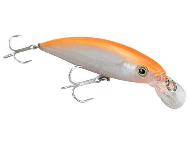 Isca Albatroz Aragon