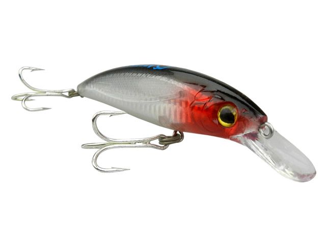 Isca Arsenal da Pesca Morenita 120