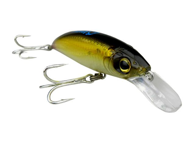 Isca Arsenal da Pesca Morenita 120