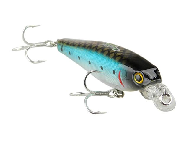 Isca Capitão Hook Top 25