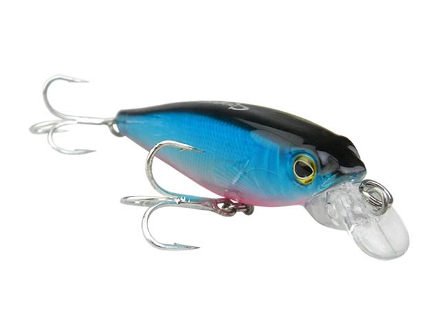 Isca Capitão Hook Top 25