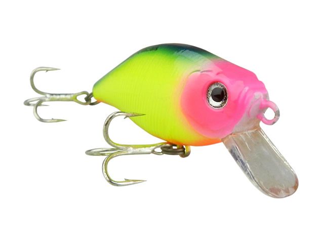 Isca Moriah Lambari 60 - Floating