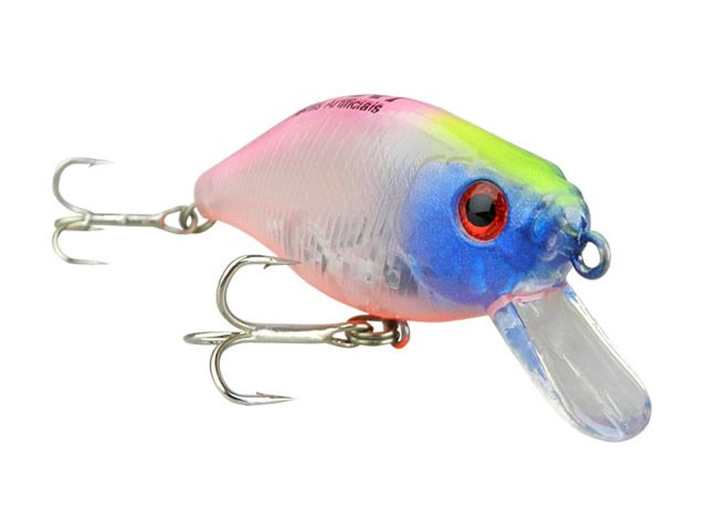 Isca Moriah Lambari 60 - Floating