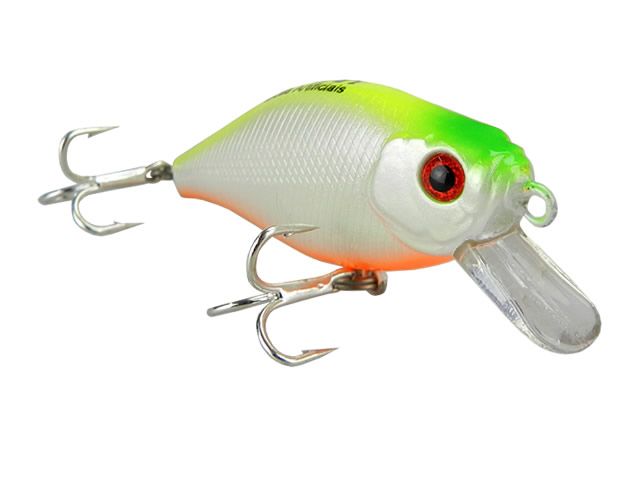 Isca Moriah Lambari 60 - Floating