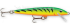 Imagem Cor FT