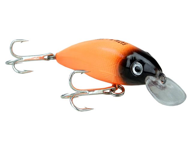 Isca Lori Fatal 75