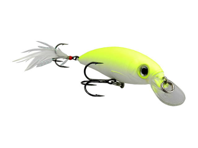 Isca Rapala XRap XR08