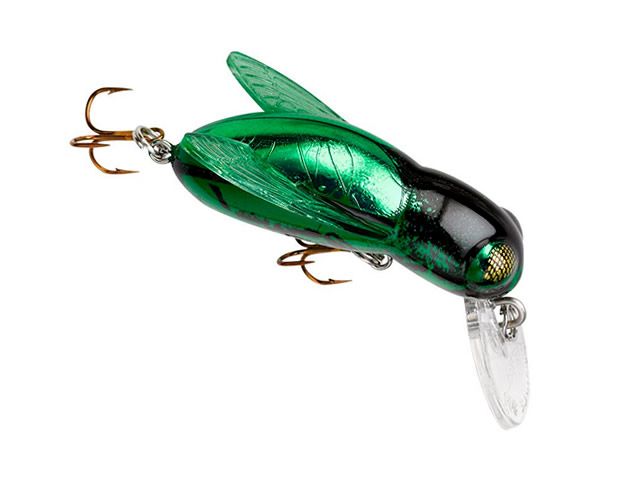 Isca Rebel Bumble Bug F74 - Abelha