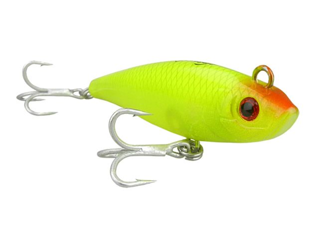 Isca Nelson Nakamura Curisco 80