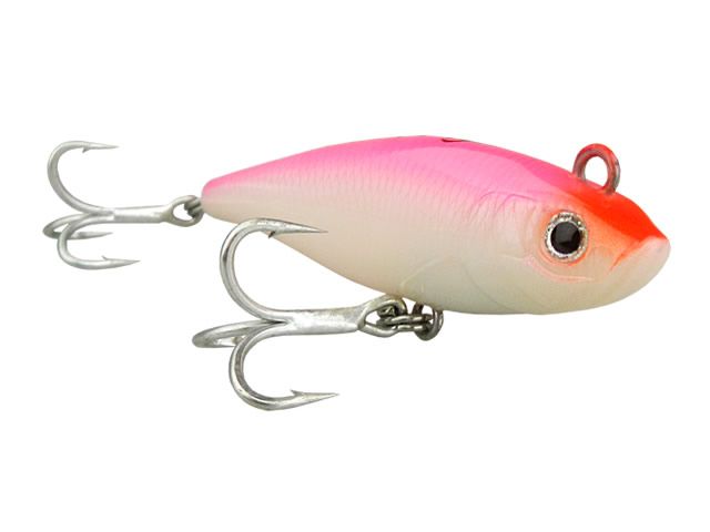 Isca Nelson Nakamura Curisco 80