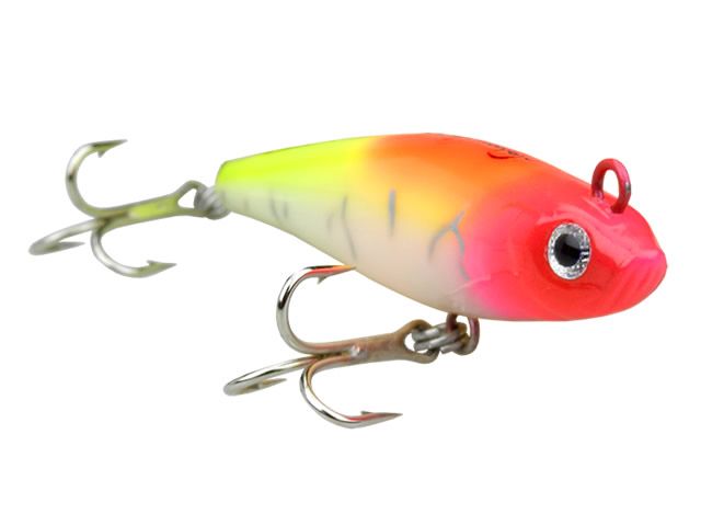 Isca Nelson Nakamura Curisco 80