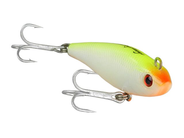 Isca Nelson Nakamura Curisco 80
