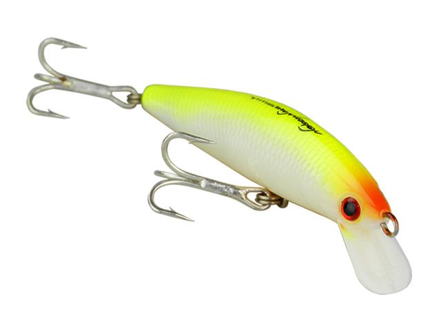 Isca Nelson Nakamura Queen 70