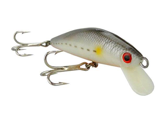 Isca Nelson Nakamura Queen 70