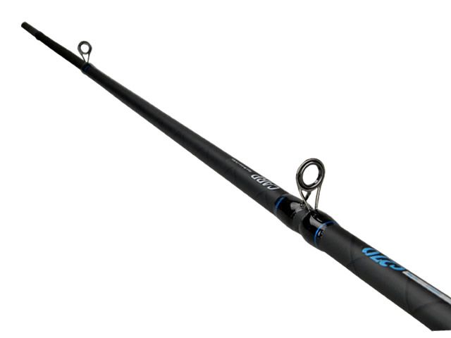 Vara Albatroz Sargo S300 20 - 50lb 9`8 (3,00m) - Molinete