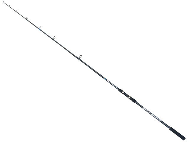 Vara Albatroz Sargo S300 20 - 50lb 9`8 (3,00m) - Molinete