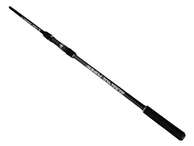 Vara Albatroz Sargo S300 20 - 50lb 9`8 (3,00m) - Molinete