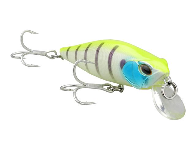 Isca Marine Sports Vennon Minnow 80