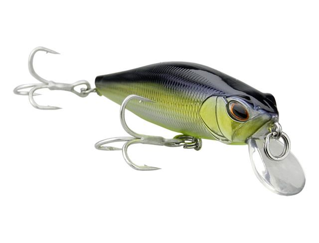 Isca Marine Sports Vennon Minnow 80