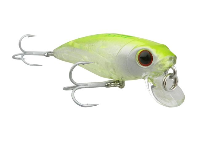 Isca Fury Rex 65F