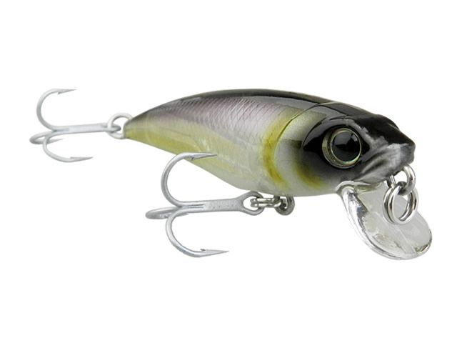 Isca Fury Rex 65F