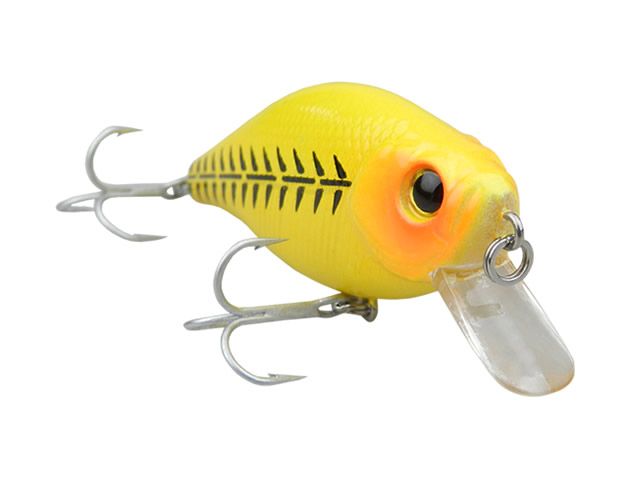 Isca Fury Banzai 60F